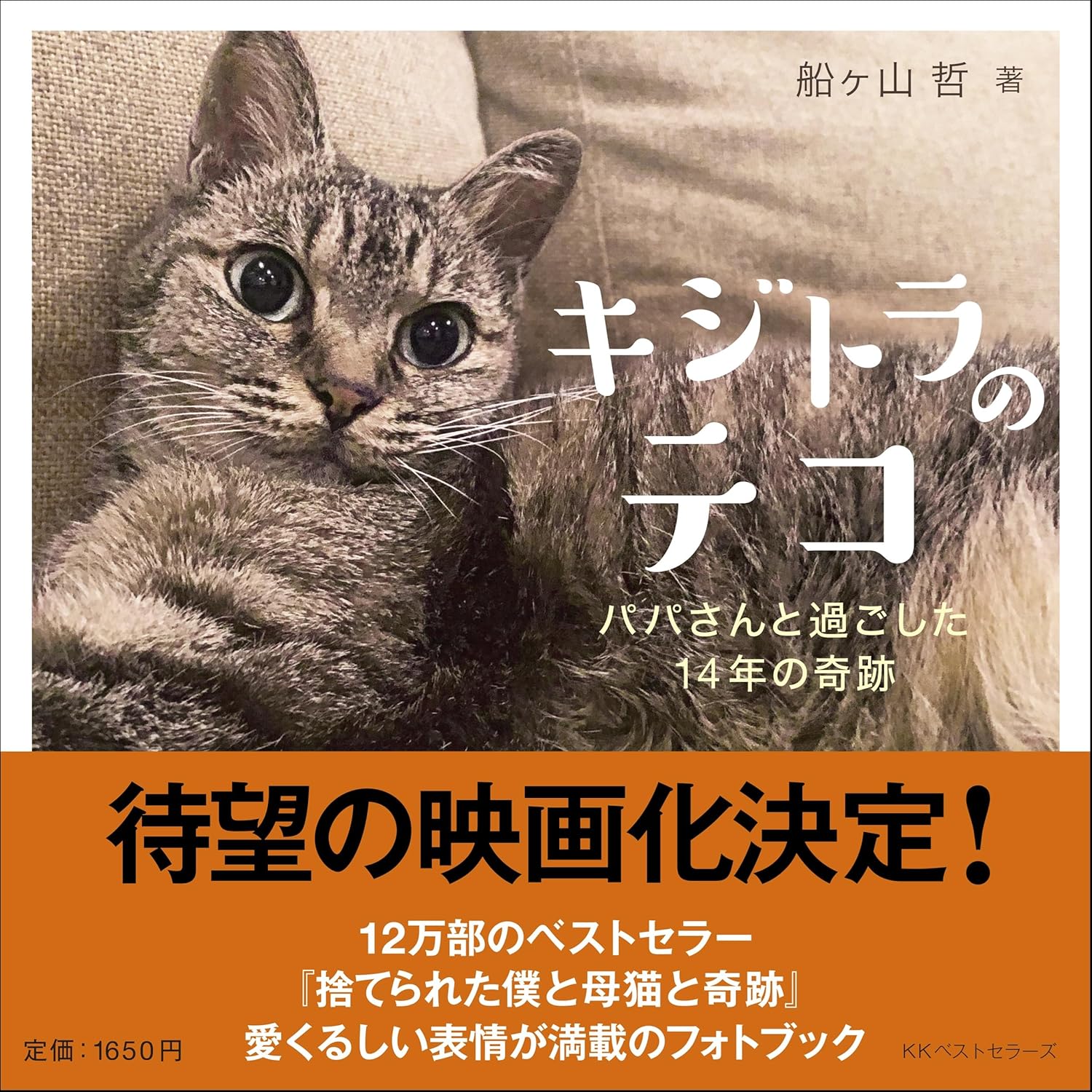 新刊】2026年6月1日発売『キジトラのテコ パパさんと過ごした14年の 