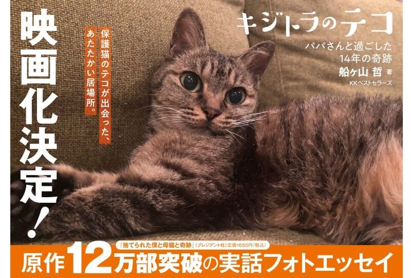 株式会社 ベストセラーズ｜KKベストセラーズ